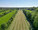 France/2' Belg. - Ancienne fermette avec garages, étable et granges sur 2 hectares - Dji 0225-2